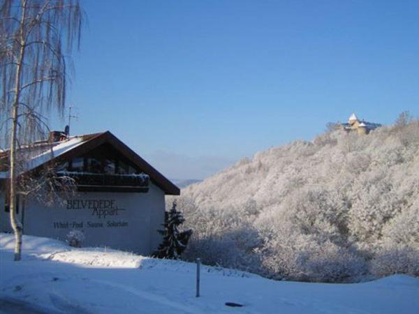 Belvedere Appart & Chalet - Ihr Zuhause Auf Zeit Am Edersee - Ihr Geschenk Die Gaestecard Grimmheimat Waldeck  Exterior foto