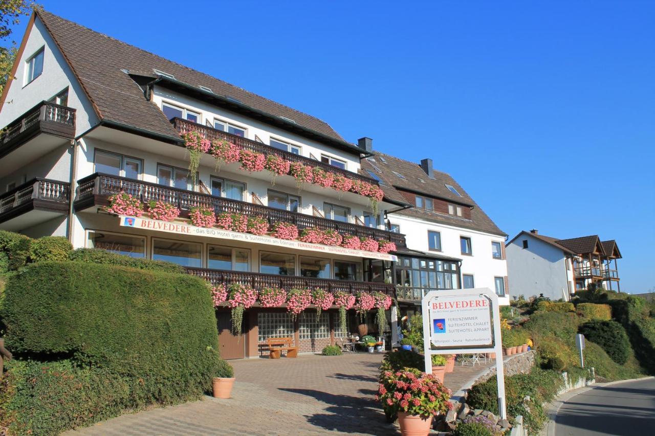Belvedere Appart & Chalet - Ihr Zuhause Auf Zeit Am Edersee - Ihr Geschenk Die Gaestecard Grimmheimat Waldeck  Exterior foto